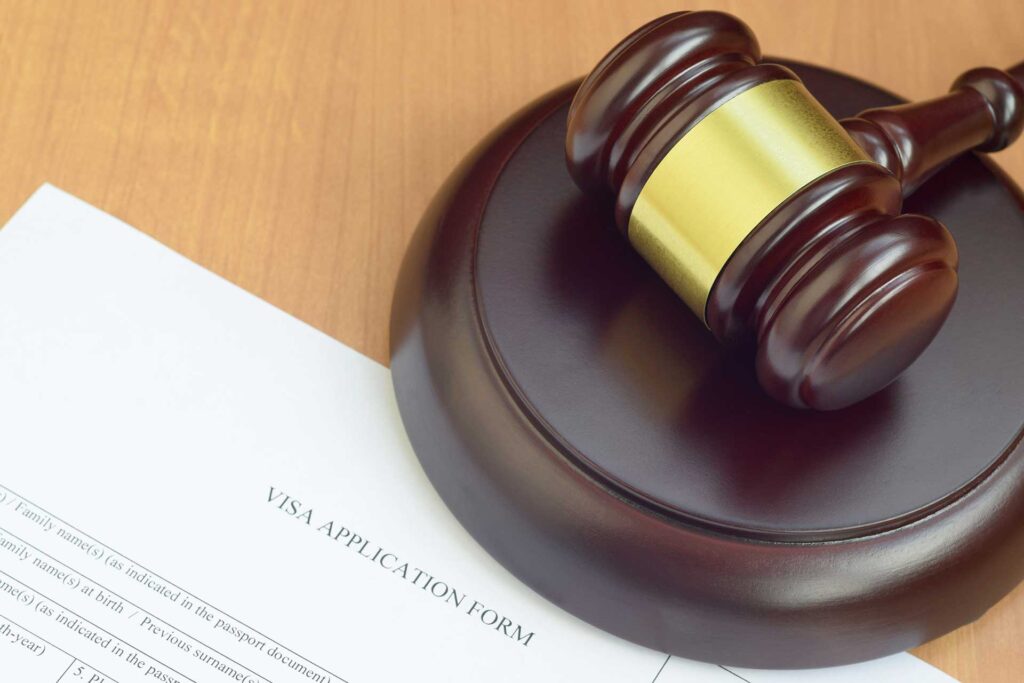 Introducing U-Visas and VAWA